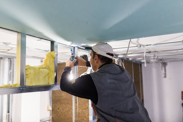 Best Attic Insulation Installation  in Linthicum, MD