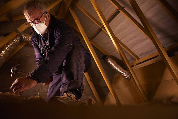 Best Insulation Removal  in Linthicum, MD
